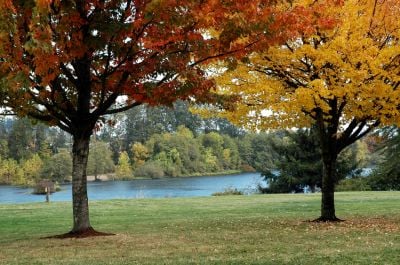 park in Eugene,Oregon