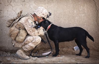 Veterans With A Loud Bark