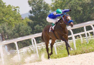 Wounded Veterans Polo Benefit