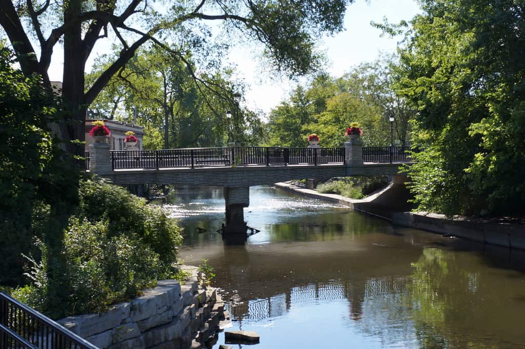 bridge in naperville, il