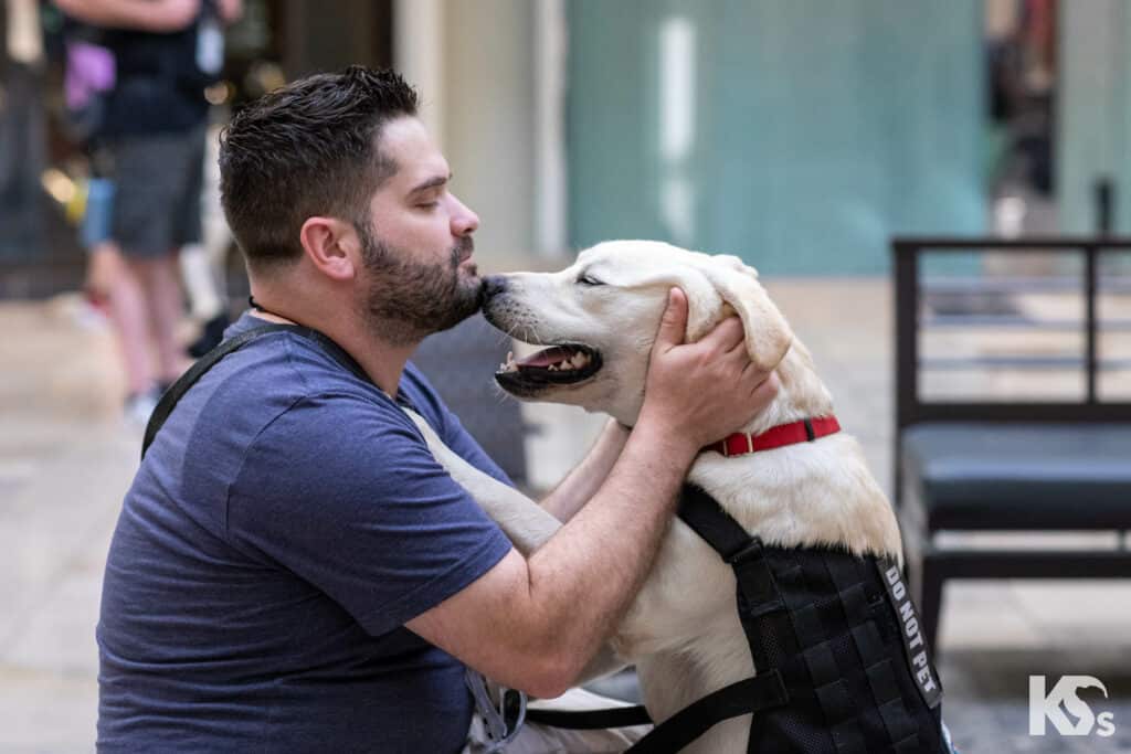 veteran and service dog embracing