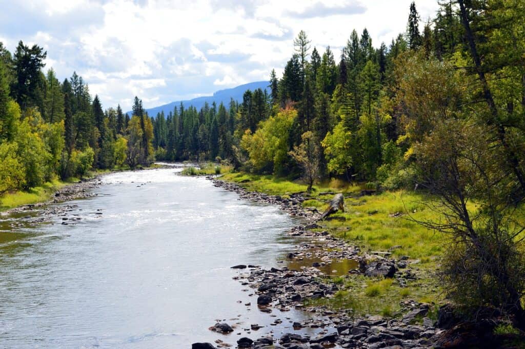outdoor view of river and trees in Montana